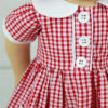 Gingham Fabric Pack